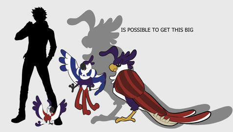 Parrit & Psittacoiler & Cacatuodneer